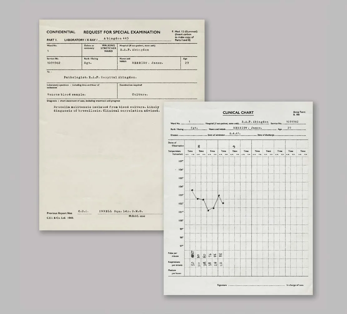 RAF base paperwork — 1941 — All Creatures Great and Small